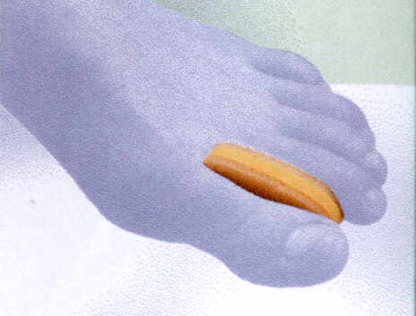 8130